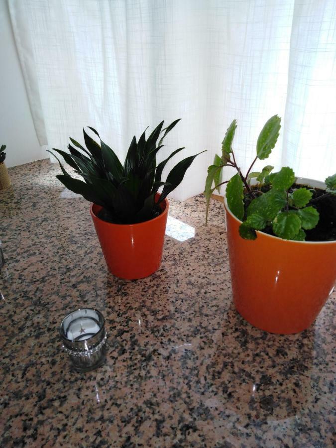 La Omañuela Aguas Frias IIIヴィラ エクステリア 写真
